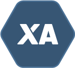Das Modul roXtra Audit für die effektive Planung von Audits